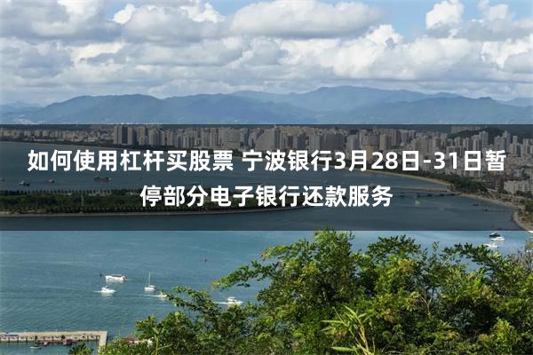 如何使用杠杆买股票 宁波银行3月28日-31日暂停部分电子银行还款服务