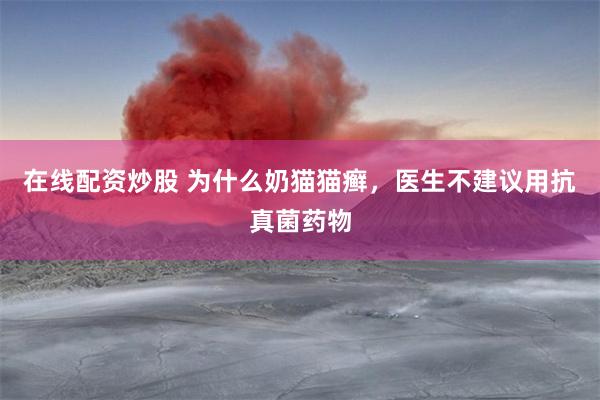 在线配资炒股 为什么奶猫猫癣，医生不建议用抗真菌药物