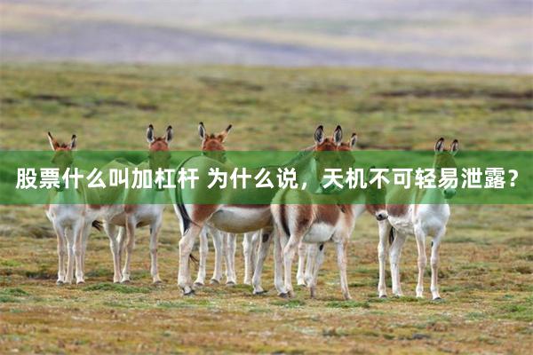股票什么叫加杠杆 为什么说，天机不可轻易泄露？