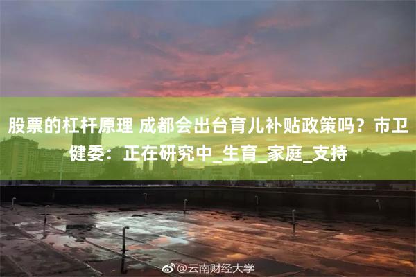 股票的杠杆原理 成都会出台育儿补贴政策吗？市卫健委：正在研究中_生育_家庭_支持