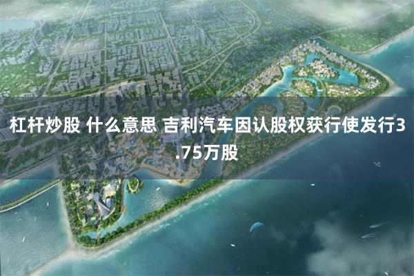 杠杆炒股 什么意思 吉利汽车因认股权获行使发行3.75万股
