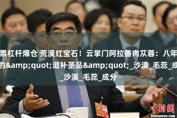 股票杠杆爆仓 荒漠红宝石！云掌门阿拉善肉苁蓉：八年一采的&quot;滋补圣品&quot;_沙漠_毛蕊_成分