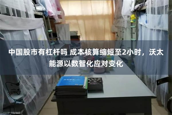 中国股市有杠杆吗 成本核算缩短至2小时，沃太能源以数智化应对变化