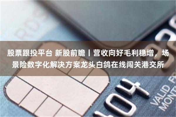 股票跟投平台 新股前瞻丨营收向好毛利稳增，场景险数字化解决方案龙头白鸽在线闯关港交所