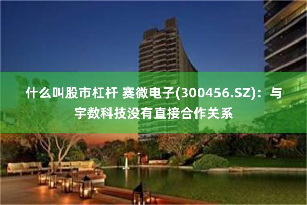 什么叫股市杠杆 赛微电子(300456.SZ)：与宇数科技没有直接合作关系