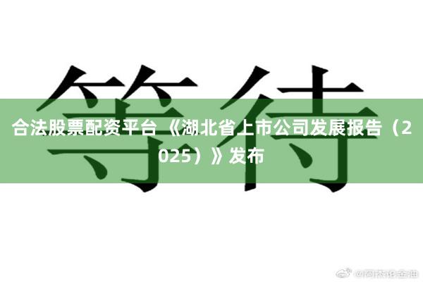 合法股票配资平台 《湖北省上市公司发展报告（2025）》发布