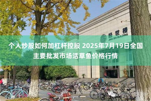 个人炒股如何加杠杆控股 2025年7月19日全国主要批发市场活草鱼价格行情