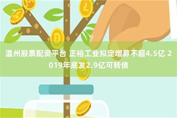 温州股票配资平台 正裕工业拟定增募不超4.5亿 2019年底发2.9亿可转债