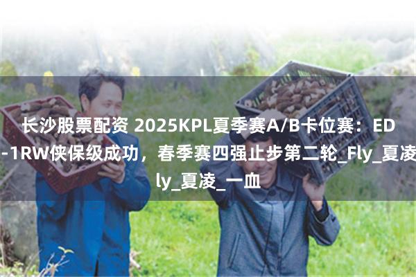 长沙股票配资 2025KPL夏季赛A/B卡位赛：EDG.M4-1RW侠保级成功，春季赛四强止步第二轮_Fly_夏凌_一血