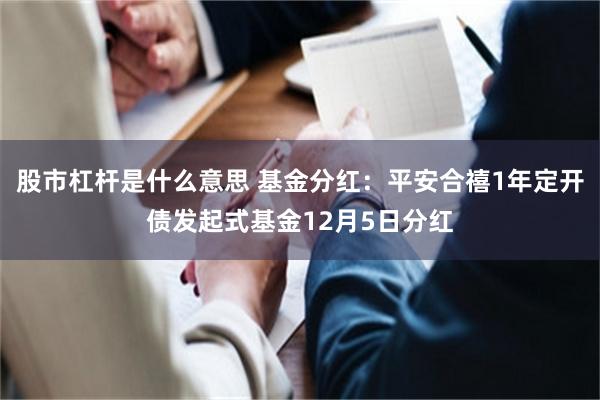 股市杠杆是什么意思 基金分红:平安合禧1年定开债发起式基金12月5日分红