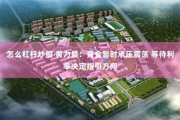 怎么杠杆炒股 黄力晨：黄金暂时承压震荡 等待利率决定指引方向