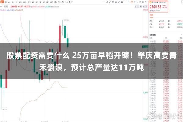 股票配资需要什么 25万亩早稻开镰！肇庆高要青禾翻浪，预计总产量达11万吨