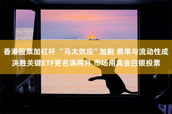 香港股票加杠杆 “马太效应”加剧 费率与流动性成决胜关键ETF更名满两月 市场用真金白银投票