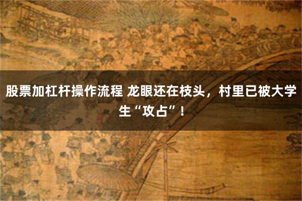 股票加杠杆操作流程 龙眼还在枝头，村里已被大学生“攻占”！
