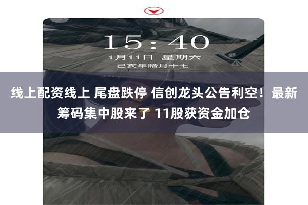 线上配资线上 尾盘跌停 信创龙头公告利空！最新筹码集中股来了 11股获资金加仓