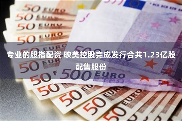 专业的股指配资 映美控股完成发行合共1.23亿股配售股份