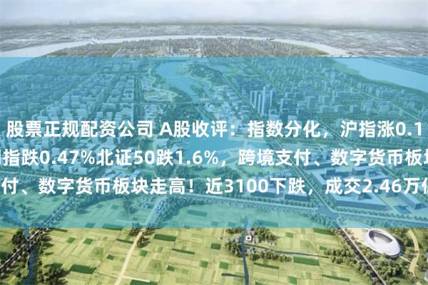 股票正规配资公司 A股收评：指数分化，沪指涨0.13%续创10年新高，创指跌0.47%北证50跌1.6%，跨境支付、数字货币板块走高！近3100下跌，成交2.46万亿放量119亿