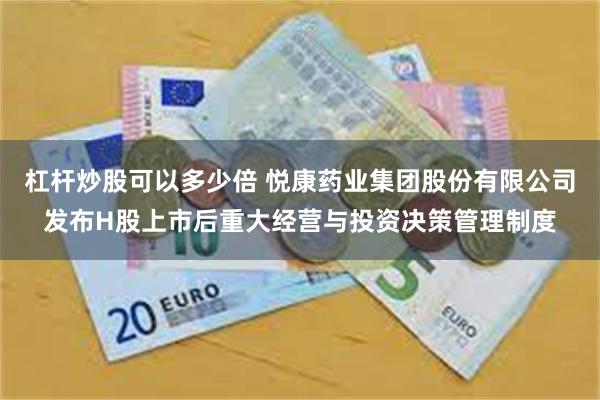 杠杆炒股可以多少倍 悦康药业集团股份有限公司发布H股上市后重大经营与投资决策管理制度