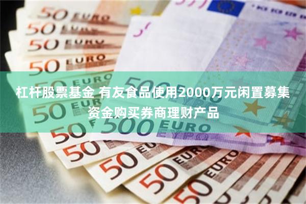 杠杆股票基金 有友食品使用2000万元闲置募集资金购买券商理财产品