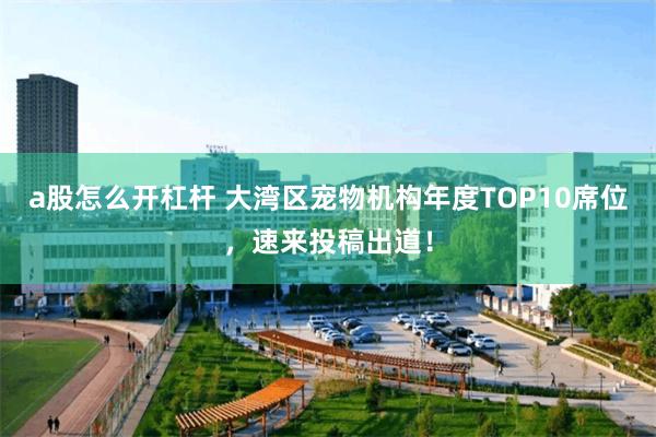 a股怎么开杠杆 大湾区宠物机构年度TOP10席位，速来投稿出道！