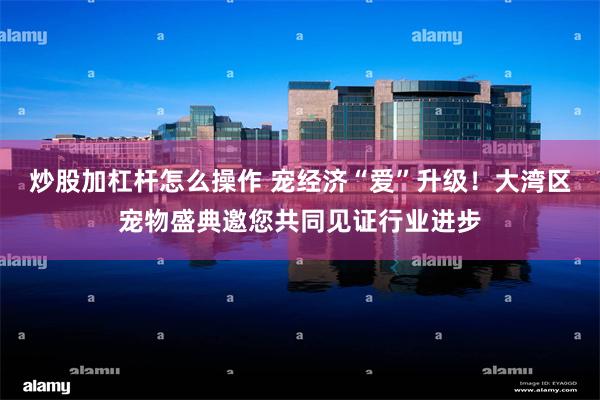 炒股加杠杆怎么操作 宠经济“爱”升级！大湾区宠物盛典邀您共同见证行业进步