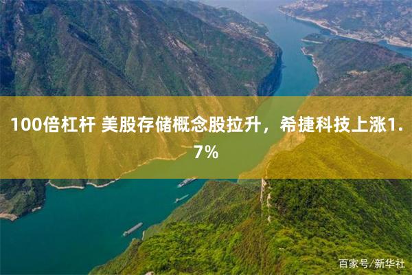 100倍杠杆 美股存储概念股拉升，希捷科技上涨1.7%