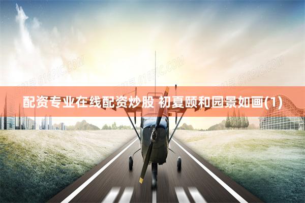 配资专业在线配资炒股 初夏颐和园景如画(1)