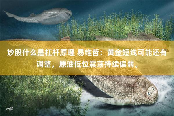 炒股什么是杠杆原理 易维哲：黄金短线可能还有调整，原油低位震荡持续偏弱。