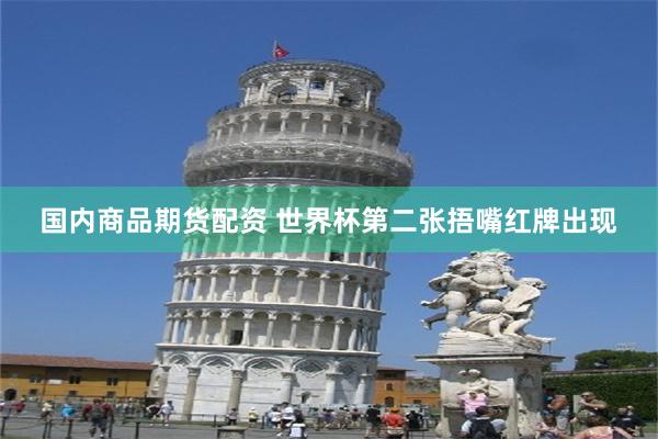 国内商品期货配资 世界杯第二张捂嘴红牌出现