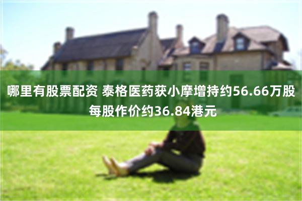 哪里有股票配资 泰格医药获小摩增持约56.66万股 每股作价约36.84港元