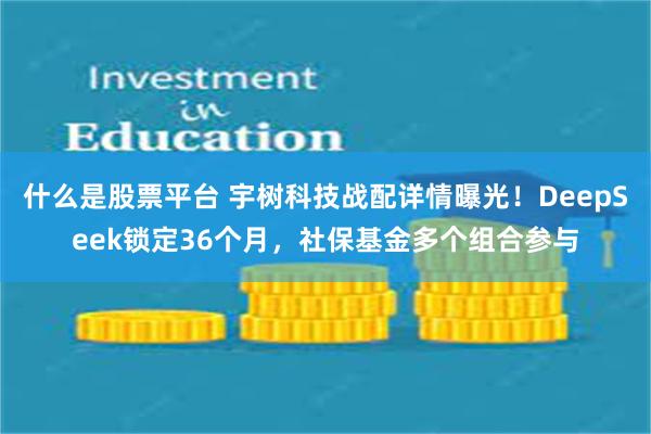 什么是股票平台 宇树科技战配详情曝光！DeepSeek锁定36个月，社保基金多个组合参与