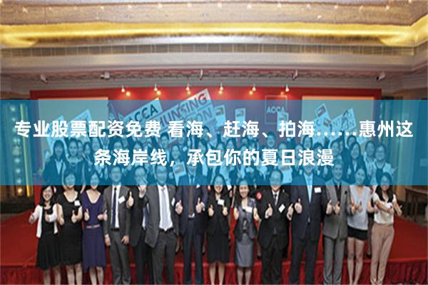 专业股票配资免费 看海、赶海、拍海……惠州这条海岸线，承包你的夏日浪漫