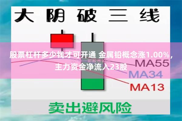 股票杠杆多少钱才可开通 金属铅概念涨1.00%，主力资金净流入23股