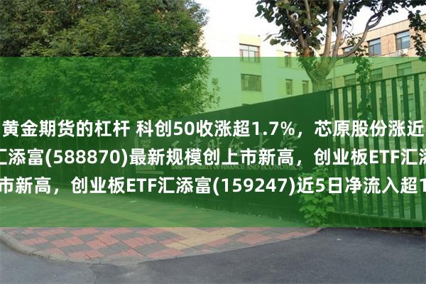 黄金期货的杠杆 科创50收涨超1.7%，芯原股份涨近10%！科创50ETF汇添富(588870)最新规模创上市新高，创业板ETF汇添富(159247)近5日净流入超1亿元
