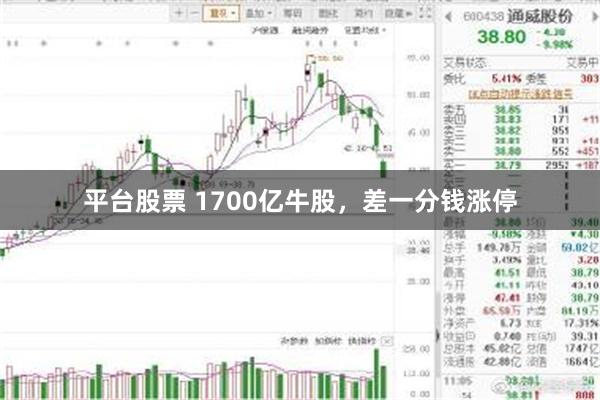 平台股票 1700亿牛股，差一分钱涨停