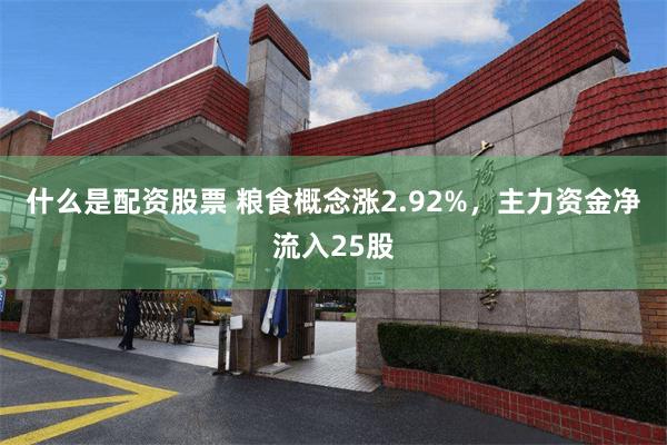 什么是配资股票 粮食概念涨2.92%,主力资金净流入25股