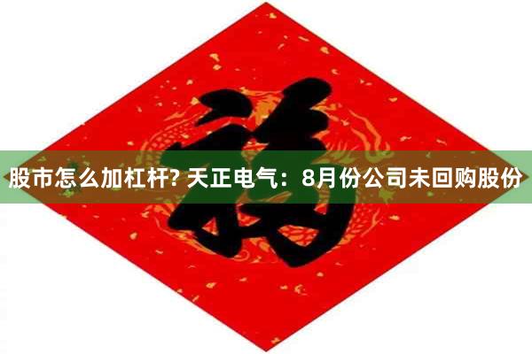 股市怎么加杠杆? 天正电气：8月份公司未回购股份
