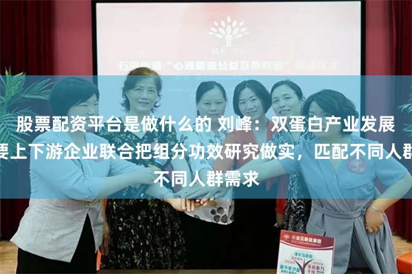 股票配资平台是做什么的 刘峰：双蛋白产业发展，需要上下游企业联合把组分功效研究做实，匹配不同人群需求