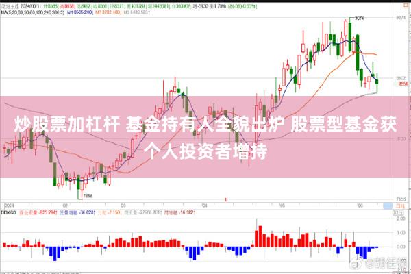 炒股票加杠杆 基金持有人全貌出炉 股票型基金获个人投资者增持