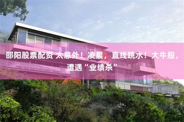 邵阳股票配资 太意外！凌晨，直线跳水！大牛股，遭遇“业绩杀”