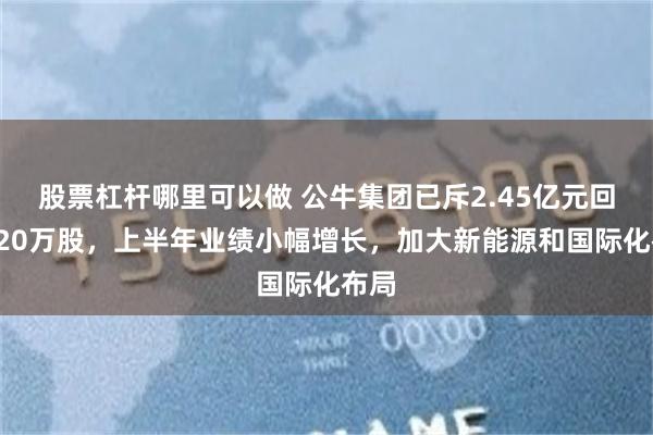 股票杠杆哪里可以做 公牛集团已斥2.45亿元回购620万股，上半年业绩小幅增长，加大新能源和国际化布局