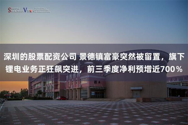 深圳的股票配资公司 景德镇富豪突然被留置，旗下锂电业务正狂飙突进，前三季度净利预增近700％