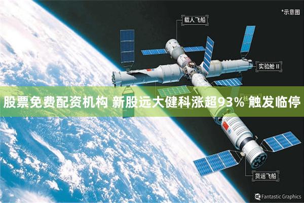股票免费配资机构 新股远大健科涨超93% 触发临停