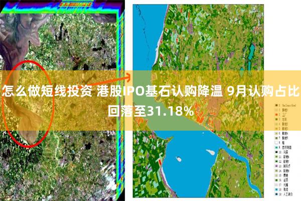 怎么做短线投资 港股IPO基石认购降温 9月认购占比回落至31.18%
